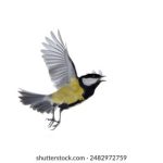 澳门金冠平台首页:畅享多元化娱乐体验的最佳选择 3f7w441x2