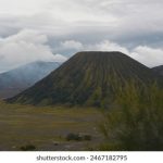 如何在ca88上获得最佳的在线博彩体验与技巧 eo62c736yu