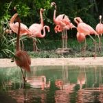 如何在12bet游戏中提高胜率:技巧与策略分享 g91lj17